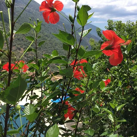 Hotel economico Mavi Oludeniz *